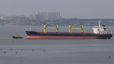 Kiyev bildirir ki, Rusiya liman və gəmi hücumlarında iyuldan bəri 300 min ton taxıl məhv edib