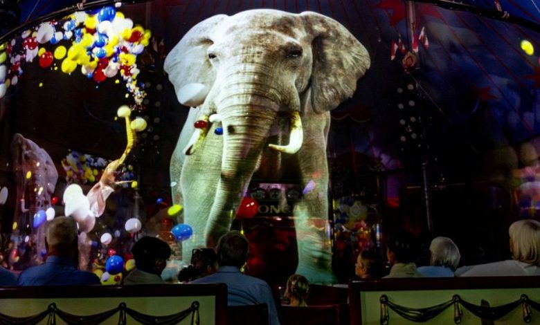 Leeuwen, olifanten en beren: hologrammen vervangen levende dieren in dit Duitse circus