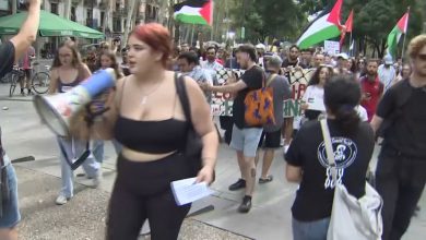 Straatdemonstranten steunen zowel Israël als de Palestijnen in Europese steden