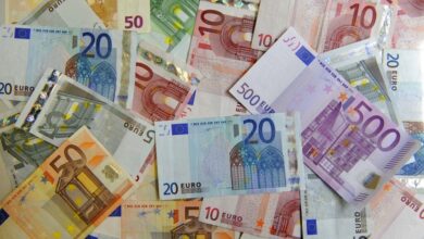 Rivieren, vogels, cultuur: ECB selecteert motieven voor nieuwe eurobankbiljetten