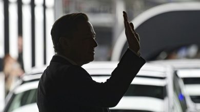 Tesla van Elon Musk is van plan een elektrische auto ter waarde van € 25.000 te produceren in zijn gigafabriek in Berlijn, aldus een insider